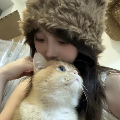 纽约鼠患